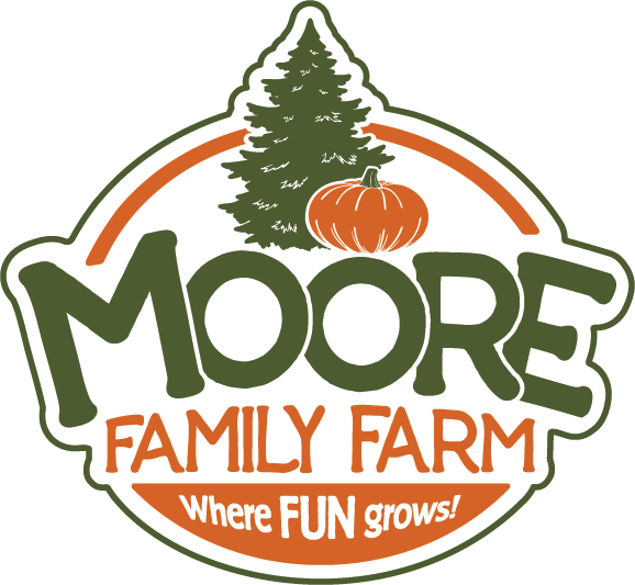 /shared/superadmin/content/images/dynamic/deal/1046/offer-image-1046-QDxgq7vKm3-1725995912.png